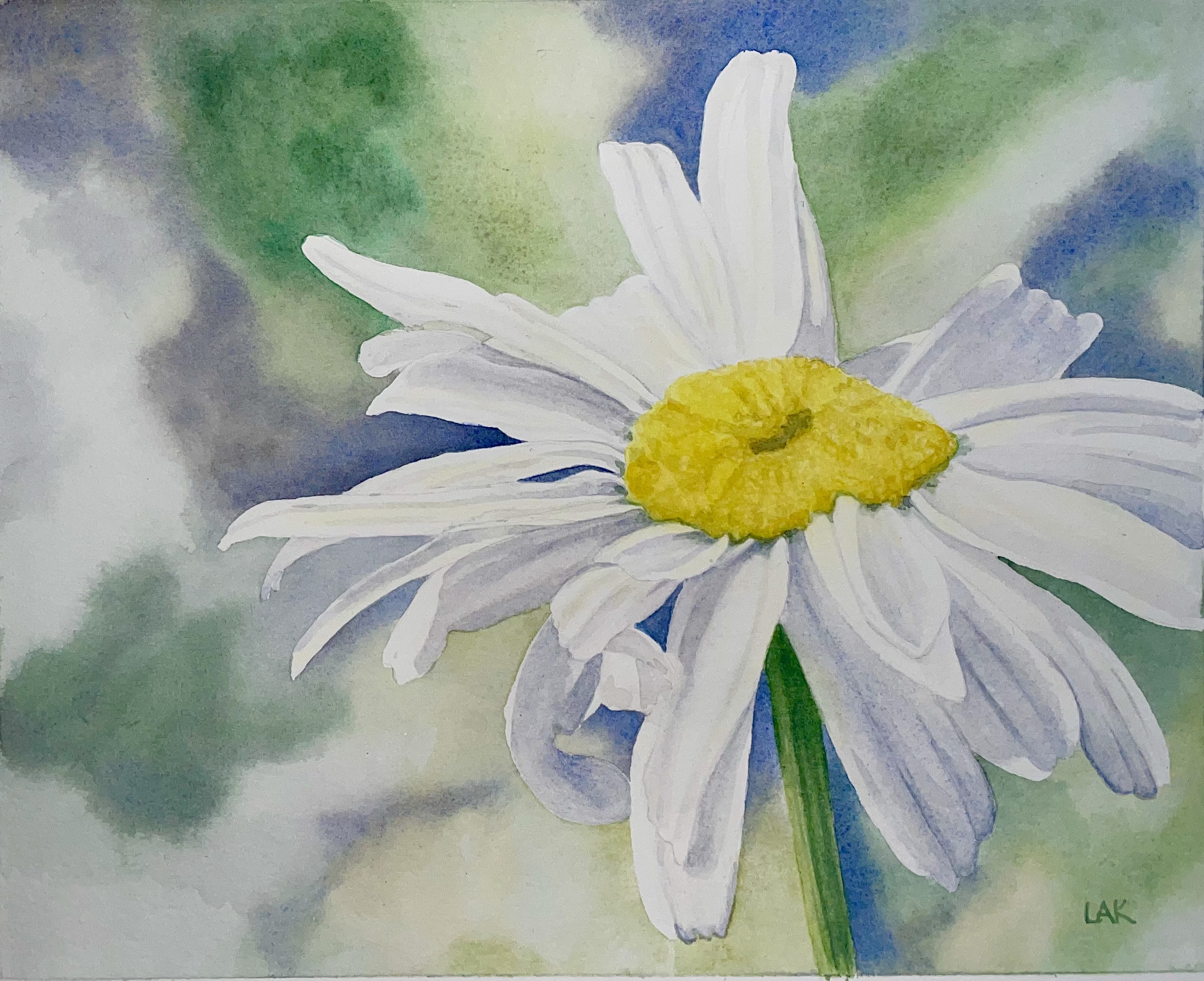 Original watercolor, daisy.